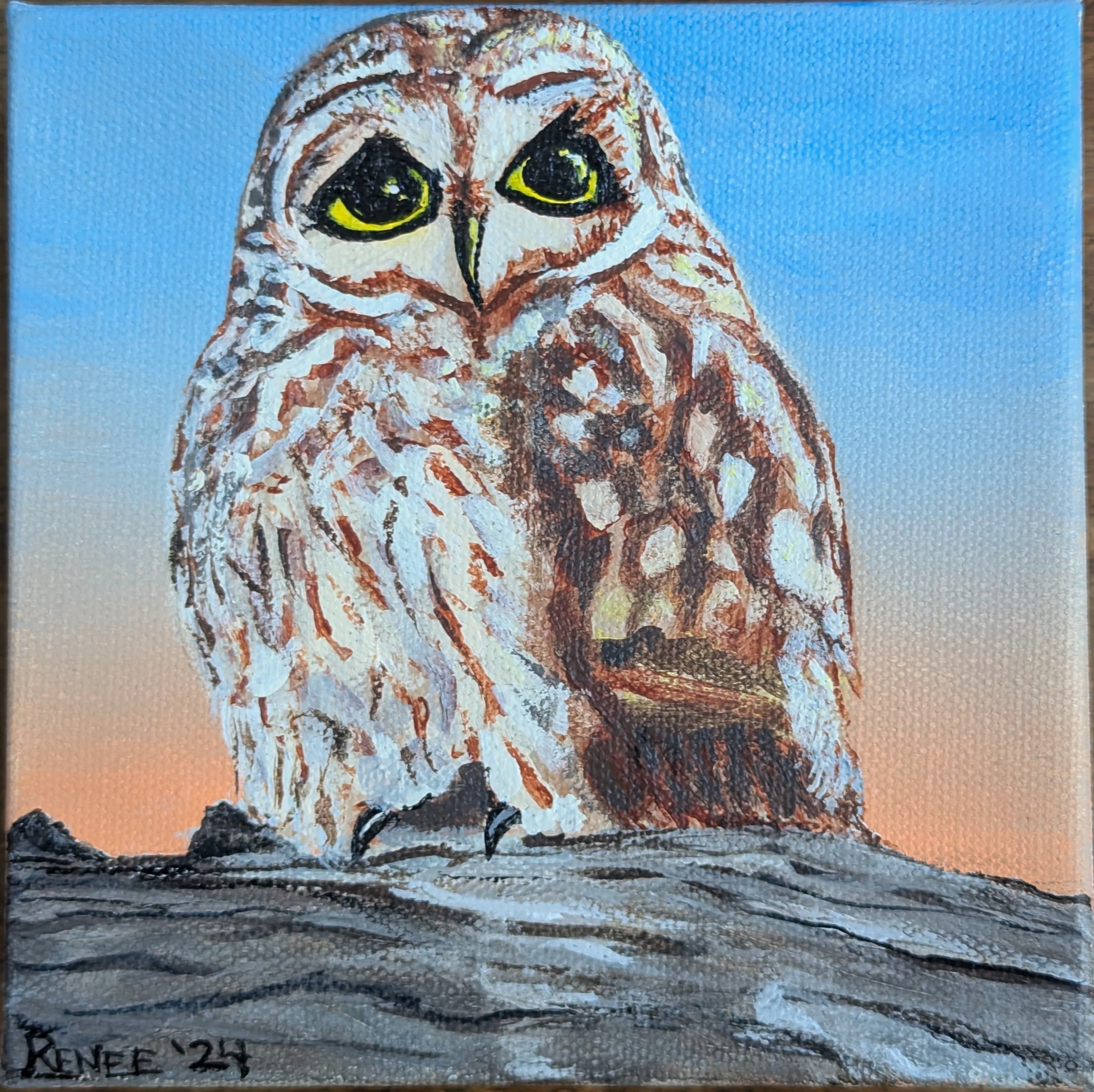 Ari's Owl