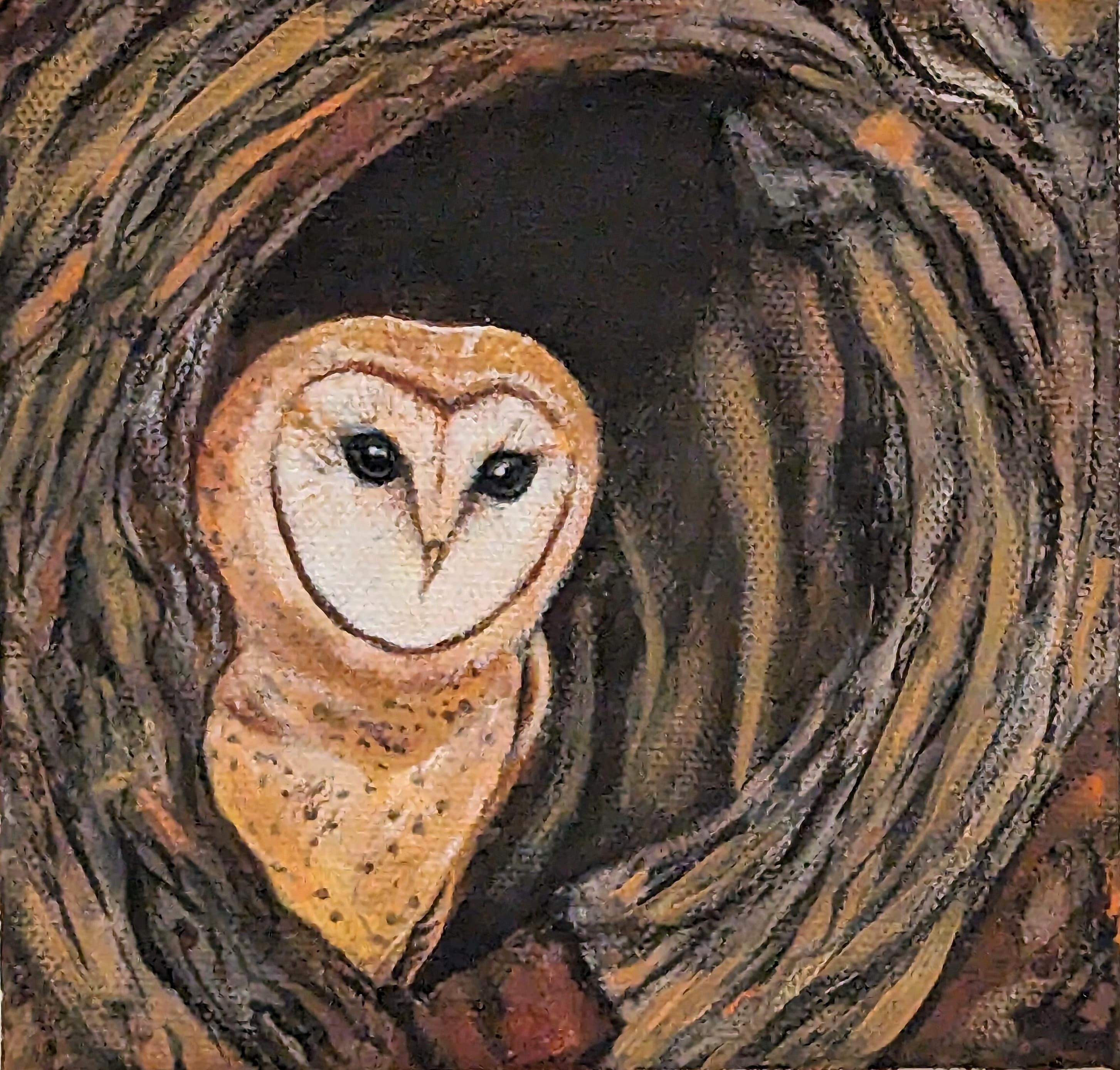 Barn Owl