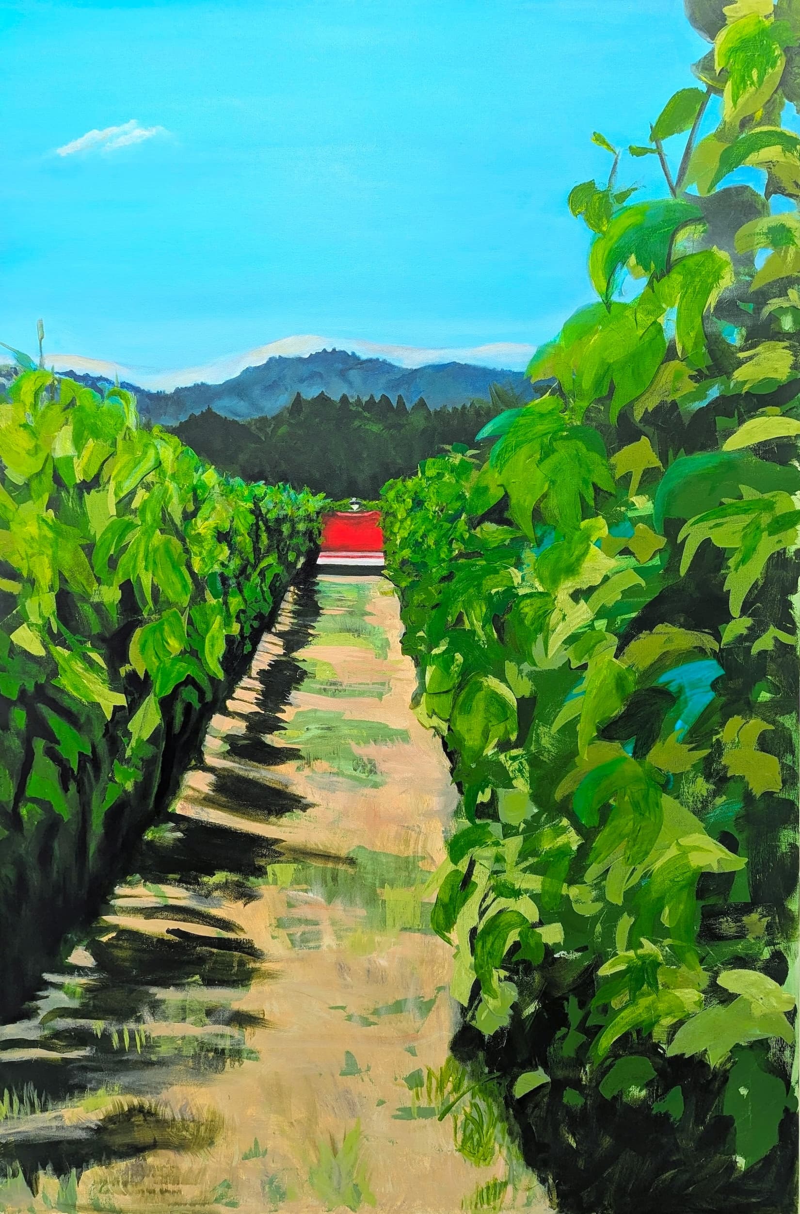 Hidden in Sonoma