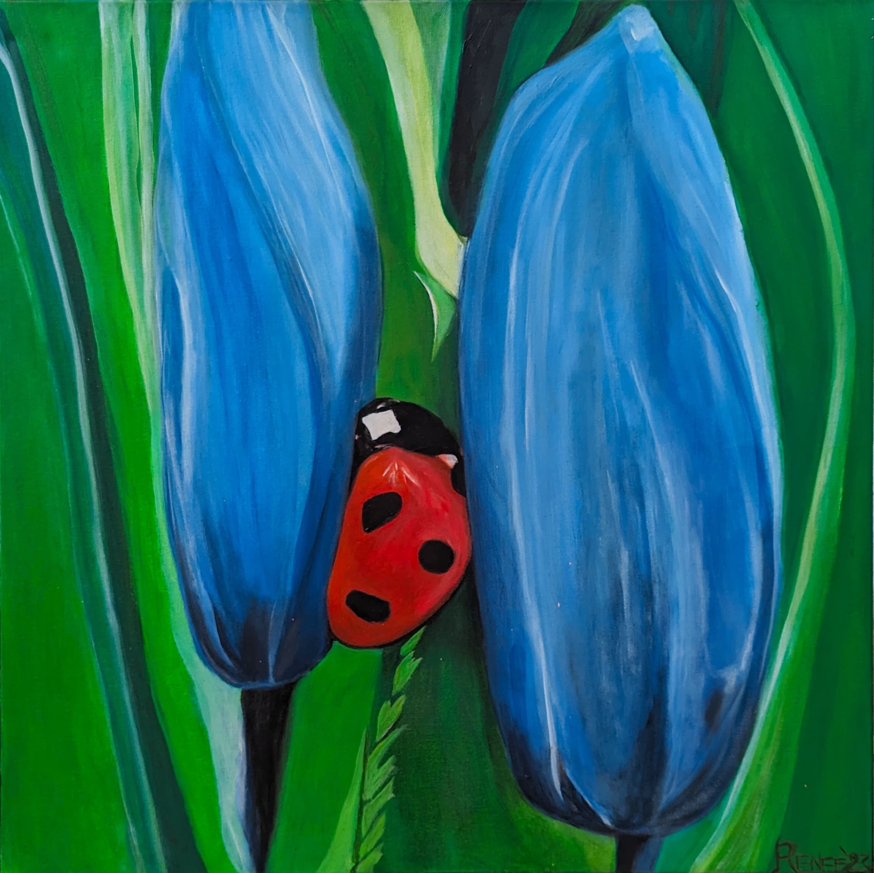 Ladybug
