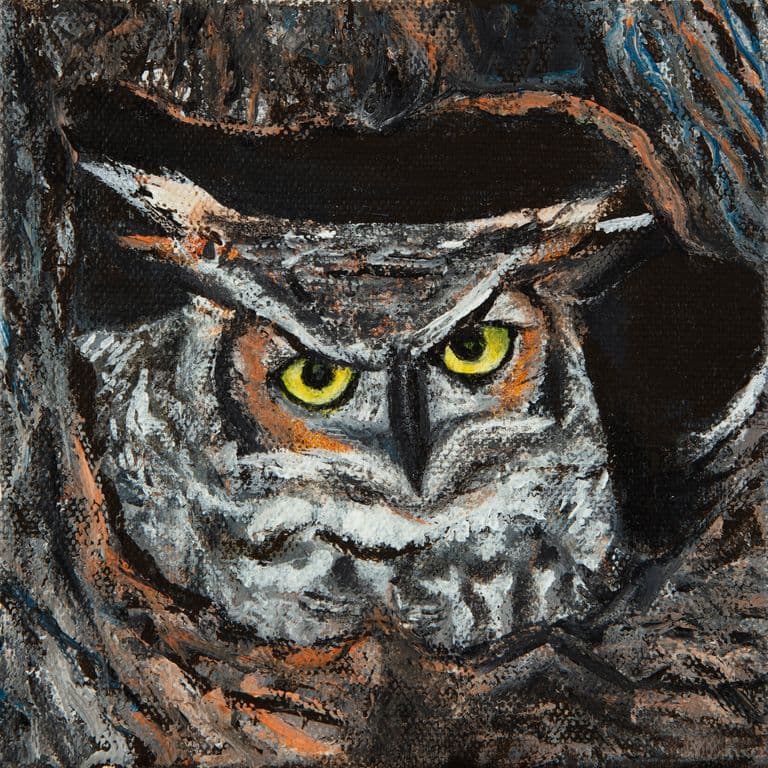 Great Horned Owl