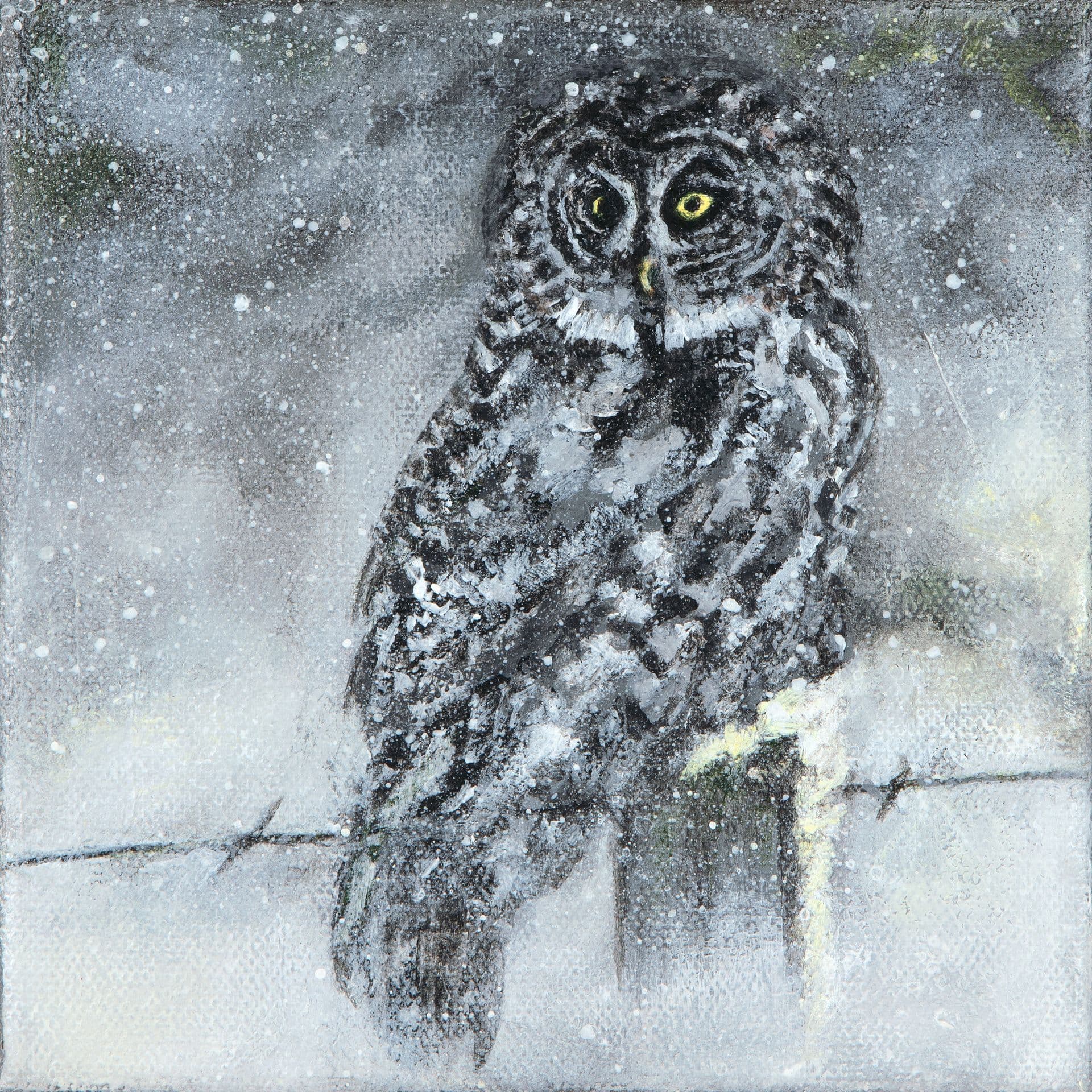 Owl in Winter